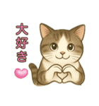 ちょっと太った猫のポン太（個別スタンプ：5）