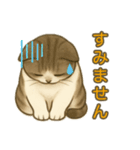 ちょっと太った猫のポン太（個別スタンプ：8）