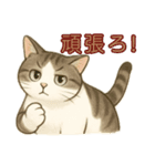 ちょっと太った猫のポン太（個別スタンプ：9）