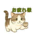 ちょっと太った猫のポン太（個別スタンプ：10）