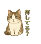 ちょっと太った猫のポン太（個別スタンプ：11）