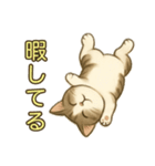 ちょっと太った猫のポン太（個別スタンプ：12）