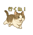 ちょっと太った猫のポン太（個別スタンプ：13）