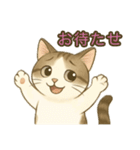 ちょっと太った猫のポン太（個別スタンプ：15）