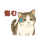 ちょっと太った猫のポン太（個別スタンプ：16）