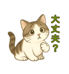 ちょっと太った猫のポン太（個別スタンプ：17）