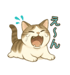 ちょっと太った猫のポン太（個別スタンプ：19）