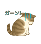 ちょっと太った猫のポン太（個別スタンプ：20）