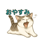 ちょっと太った猫のポン太（個別スタンプ：23）