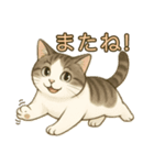 ちょっと太った猫のポン太（個別スタンプ：24）
