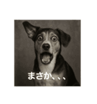 びっくり犬（個別スタンプ：1）