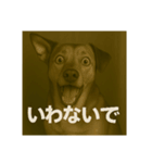 びっくり犬（個別スタンプ：13）