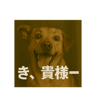 びっくり犬（個別スタンプ：15）