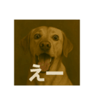 びっくり犬（個別スタンプ：16）
