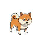【凶暴な犬】（個別スタンプ：6）