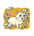 【怒る猫】（個別スタンプ：2）