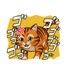 【怒る猫】（個別スタンプ：3）