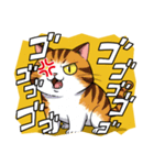 【怒る猫】（個別スタンプ：7）