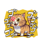 【怒る猫】（個別スタンプ：8）