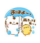 梅雨〜夏に役立つ♡ホワイトタイガー（個別スタンプ：8）