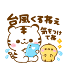 梅雨〜夏に役立つ♡ホワイトタイガー（個別スタンプ：29）