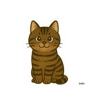我が家の猫's（個別スタンプ：8）