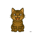 我が家の猫's（個別スタンプ：12）
