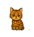 我が家の猫's（個別スタンプ：19）