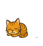 我が家の猫's（個別スタンプ：21）