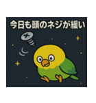 インコと宇宙の旅@SFW（個別スタンプ：11）