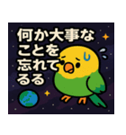 インコと宇宙の旅@SFW（個別スタンプ：15）