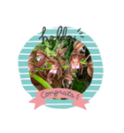 Myflawergarden19（個別スタンプ：7）