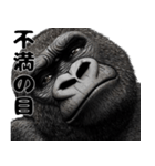 ハンサムすぎるゴリラ（個別スタンプ：14）