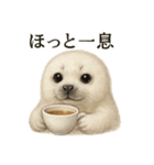 【癒し】リアルなワモンアザラシのカフェ（個別スタンプ：3）