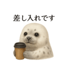 【癒し】リアルなワモンアザラシのカフェ（個別スタンプ：12）
