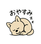 チワワとポメラニアンとチワワとポメチワ（個別スタンプ：2）