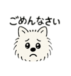 チワワとポメラニアンとチワワとポメチワ（個別スタンプ：3）
