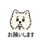 チワワとポメラニアンとチワワとポメチワ（個別スタンプ：4）