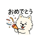 チワワとポメラニアンとチワワとポメチワ（個別スタンプ：12）