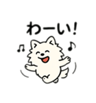 チワワとポメラニアンとチワワとポメチワ（個別スタンプ：13）