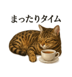 【癒し】リアルすぎるベンガル猫のカフェ（個別スタンプ：3）