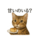 【癒し】リアルすぎるベンガル猫のカフェ（個別スタンプ：10）