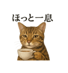【癒し】リアルすぎるベンガル猫のカフェ（個別スタンプ：15）