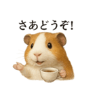 【癒し】リアルすぎるモルモットのカフェ（個別スタンプ：5）