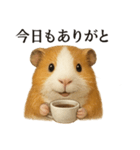 【癒し】リアルすぎるモルモットのカフェ（個別スタンプ：6）