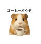 【癒し】リアルすぎるモルモットのカフェ（個別スタンプ：8）