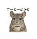 【癒し】リアルすぎるチンチラのカフェ（個別スタンプ：12）