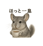 【癒し】リアルすぎるチンチラのカフェ（個別スタンプ：15）