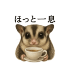 【癒し】フクロモモンガのまったりカフェ（個別スタンプ：2）