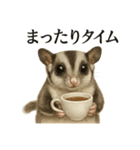【癒し】フクロモモンガのまったりカフェ（個別スタンプ：11）